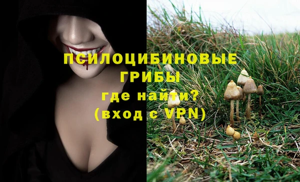 герыч Куйбышев