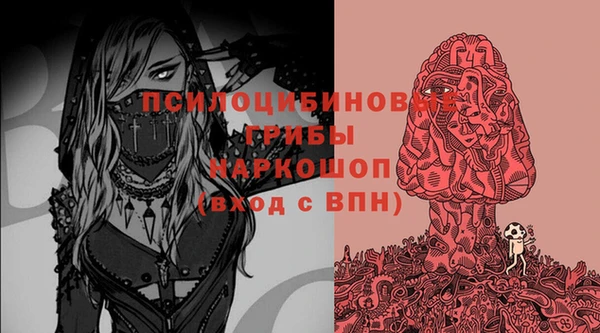 гидра Краснослободск